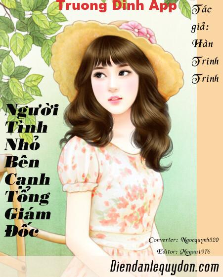 Người Tình Nhỏ Bên Cạnh Tổng Giám Đốc – Hàn Trinh Trinh  Sách Nói