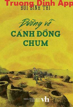 Đường Về Cánh Đồng Chum – Bùi Bình Thi