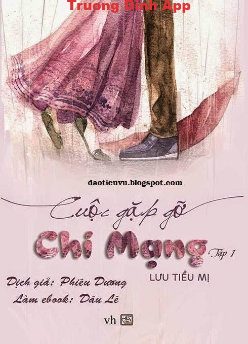 Cuộc Gặp Gỡ Chí Mạng – Lưu Tiểu Mị  Sách Nói