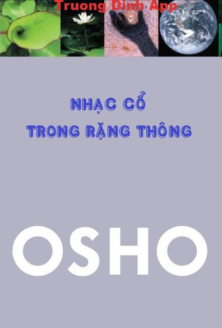 Nhạc Cổ Trong Rặng Thông