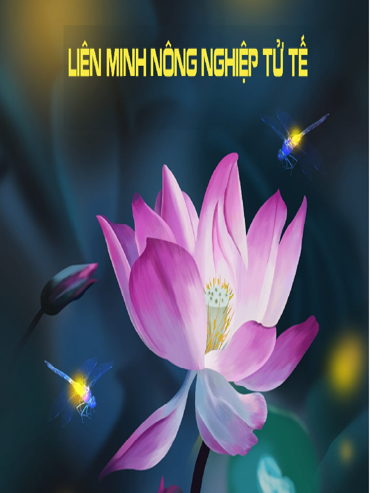 Tài liệu tổng hợp cách làm IMO Mevi và SKE ebook PDF-EPUB-AWZ3-PRC-MOBI