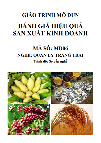 Đánh giá hiệu quả sản xuất kinh doanh ebook PDF-EPUB-AWZ3-PRC-MOBI