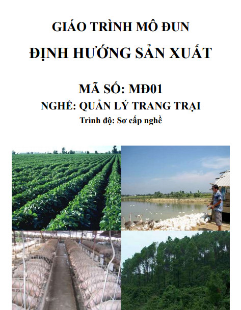 Định hướng sản xuất ebook PDF-EPUB-AWZ3-PRC-MOBI