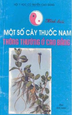 Một Số Cây Thuốc Nam Thông Thường Ở Cao Bằng