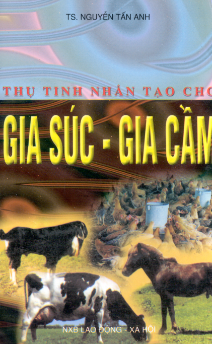 Thụ Tinh Nhân Tạo Cho Gia Súc Gia Cầm